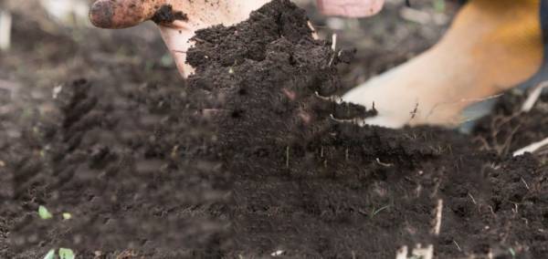 学校法人札幌静修学園 札幌静修高等学校 通信制課程 開校