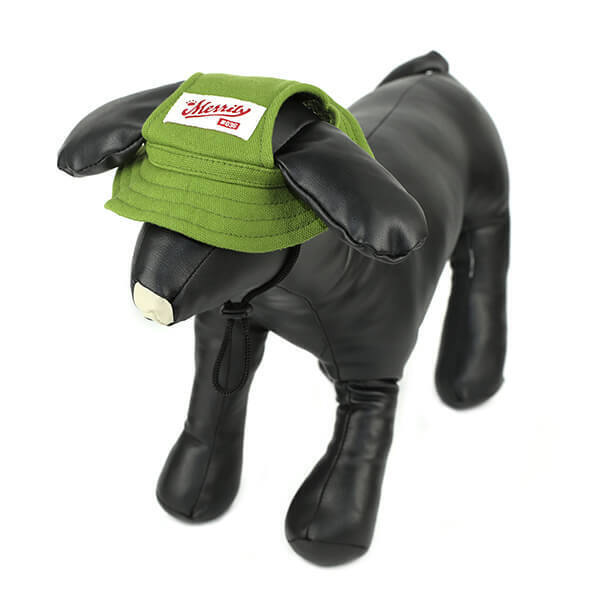 ワンちゃんネコちゃんのご家族必見！「オーサムストア」の新作ペットアイテムで夏のオシャレを一緒に楽しもう！