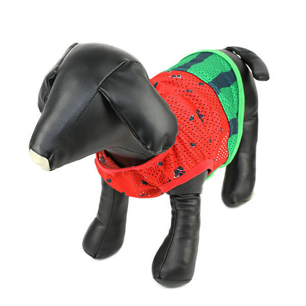 ワンちゃんネコちゃんのご家族必見！「オーサムストア」の新作ペットアイテムで夏のオシャレを一緒に楽しもう！