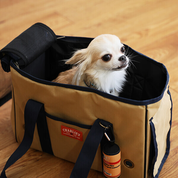 ワンちゃんネコちゃんのご家族必見！「オーサムストア」の新作ペットアイテムで夏のオシャレを一緒に楽しもう！