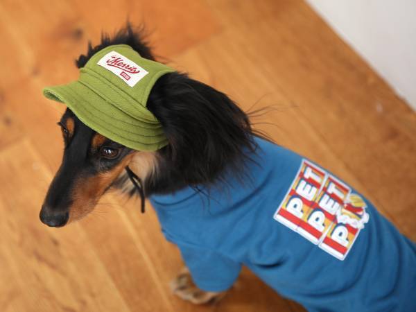 ワンちゃんネコちゃんのご家族必見！「オーサムストア」の新作ペットアイテムで夏のオシャレを一緒に楽しもう！