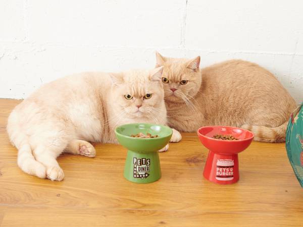 ワンちゃんネコちゃんのご家族必見！「オーサムストア」の新作ペットアイテムで夏のオシャレを一緒に楽しもう！