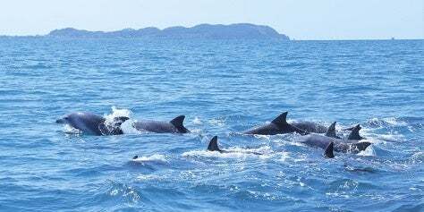 九州7県在住の方が使える「地方自治体キャンペーン」の期間が延長！宿泊費用、最大5,000円（税込）割引を上手に使って、大分県と熊本県の大江戸温泉物語の宿へ。