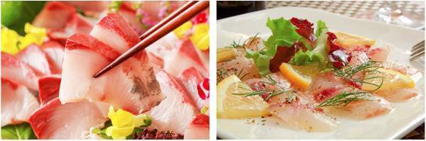 九州7県在住の方が使える「地方自治体キャンペーン」の期間が延長！宿泊費用、最大5,000円（税込）割引を上手に使って、大分県と熊本県の大江戸温泉物語の宿へ。