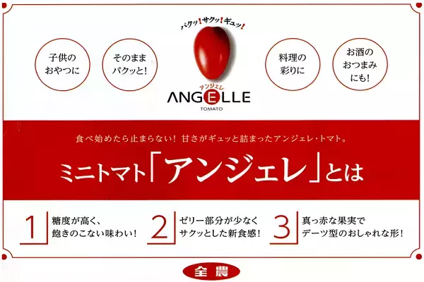 日本全国の産地を見てきたプロ集団が厳選！ 産地直送通販サイト「ＪＡタウン」で「野菜ボックス１０種入」のセールを開始！