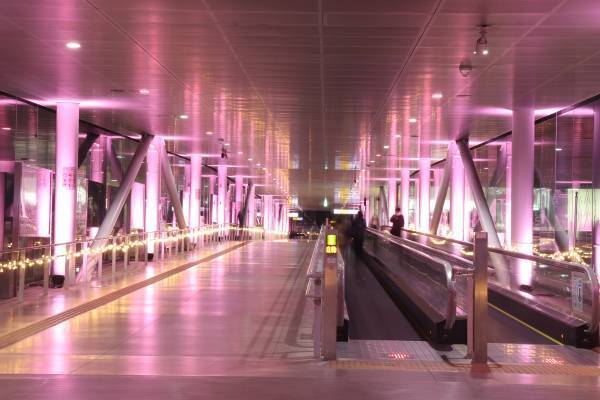 【茨城県日立市】Hitachi Starlight Illumination 2022～ヒカリウタ～