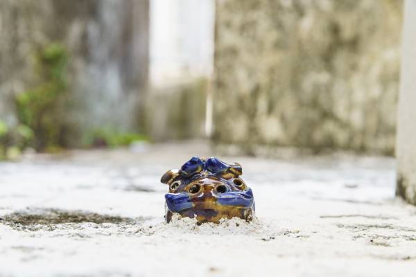 【OMO5沖縄那覇】沖縄の守り神「シーサー」を楽しく見つけて詳しくなれる！ 「那覇シーサーさんぽ」実施｜期間：2022年3月19日〜通年