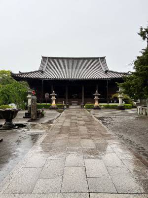 和歌山県で新しい旅のスタイル、ワーケーションを体験！ 和歌山ほっこり探訪 ～日本一の“梅”の産地で“田舎ぐらし”～ 　7月31日(日)夕方6時30分～BS12 トゥエルビで放送