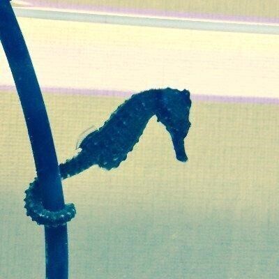 NFT業界トレンドとマーケットプレイス開発事例・課題を学ぶ『エンジニア勉強会＜NFT編＞』イベント開催｜3月3日（木）19:30〜