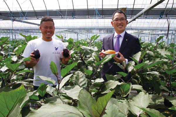 青木松風庵、中出農園様の水なすを使ったコラボ商品「水なすパイ」を今年も販売！