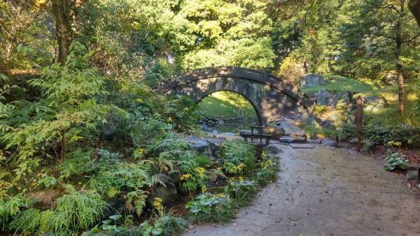 小石川後楽園「イロハモミジが見ごろ入り！」