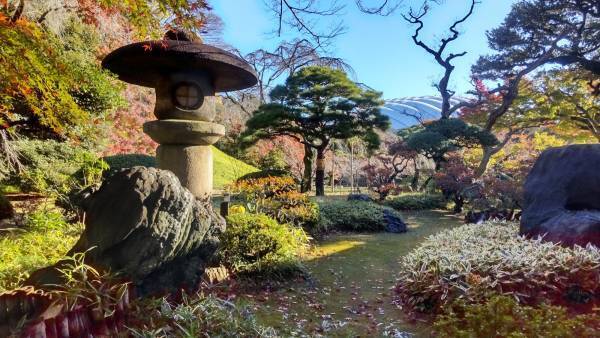 小石川後楽園「イロハモミジが見ごろ入り！」