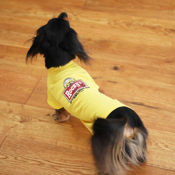 「オーサムストア」の新作ペットグッズ、お散歩日和の春におすすめ“映える”Tシャツやバッグが登場！