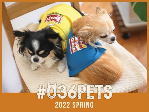 「オーサムストア」の新作ペットグッズ、お散歩日和の春におすすめ“映える”Tシャツやバッグが登場！