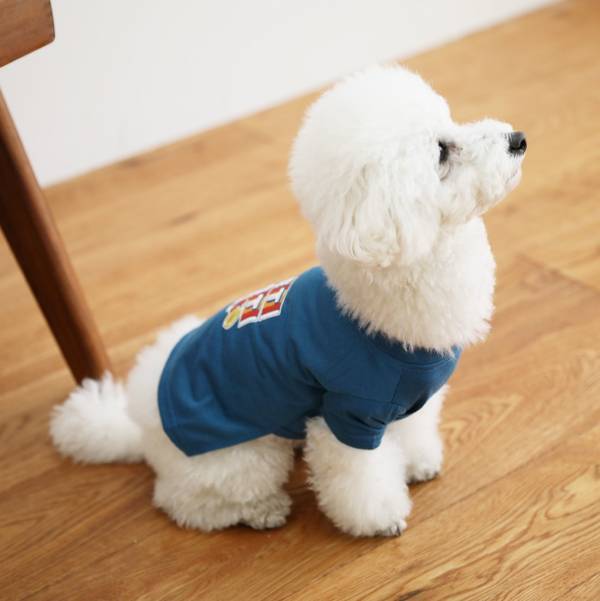 「オーサムストア」の新作ペットグッズ、お散歩日和の春におすすめ“映える”Tシャツやバッグが登場！