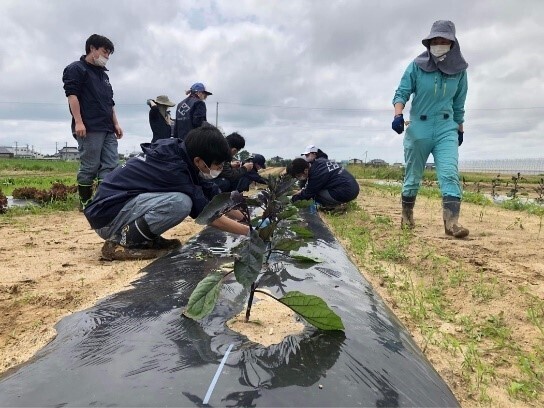 地域とともに「未来の食×農人材」を育てる産学官連携！ 亘理町、仙台農業テック&カフェ・パティシエ専門学校、 マイファームが産学官連携協定を締結しました