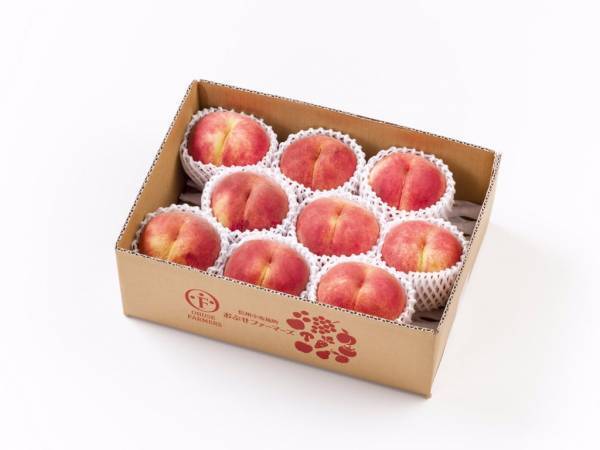 ＼先着500名様限定！送料無料／8/23(火)10時よりスタート！「たびふく」のお取り寄せグルメをお得にGETしよう！【旅する久世福e商店】