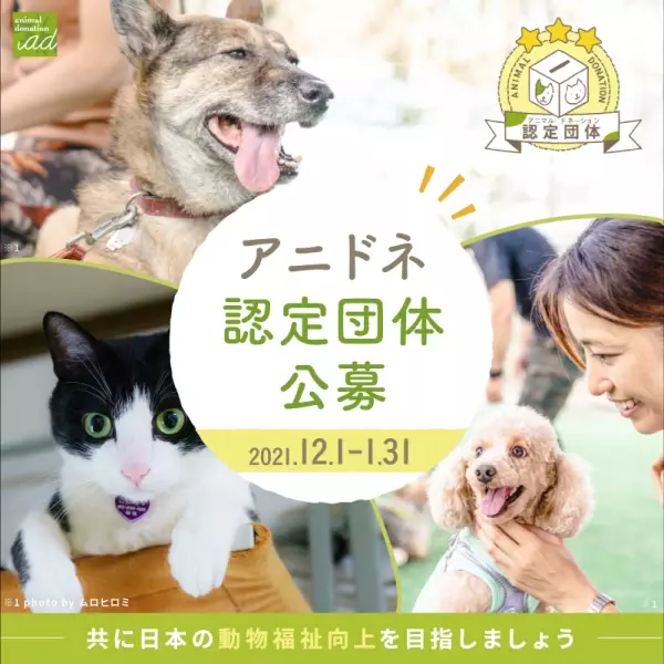 ★いよいよ１月末〆切！★動物のために頑張る非営利団体を公募。日本の動物福祉を共に変えませんか？