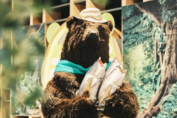 【OMO7旭川】えぞひぐま館を200％楽しむ「えぞひぐまの話しかしない、旭山動物園講座」開催｜期間：2022年 6月1日～8月31日