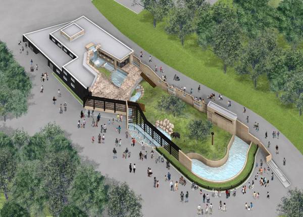 【OMO7旭川】えぞひぐま館を200％楽しむ「えぞひぐまの話しかしない、旭山動物園講座」開催｜期間：2022年 6月1日～8月31日