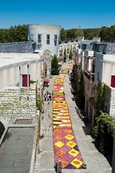 【リゾナーレ八ヶ岳】160mの花の回廊が2022年も登場！「回廊の花咲くリゾナーレ」開催｜期間：2022年4月29日～5月22日