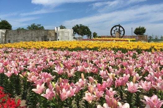 福井県の地域ブロック割【ふくいdeお得キャンペーン】が期間延長、対象エリア拡大。キャンペーンを使って、大江戸温泉物語 芦原温泉 あわら（福井県あわら市）にお得に宿泊！