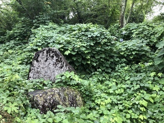 「第12回 信州なかの巡りEYEウォーク」10月２日 長野県中野市にて開催