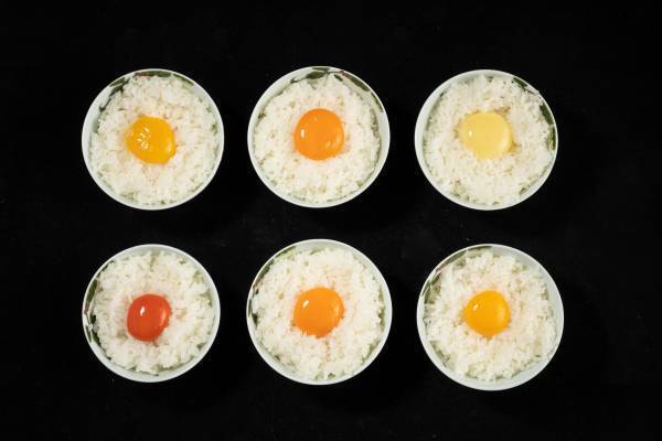 究極のたまごかけごはん専用七味誕生！