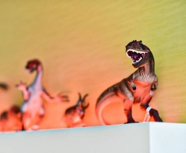 SPA＆HOTEL舞浜ユーラシア 「シュライヒコラボ」第2弾開催！