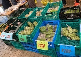 地産地消に貢献！地場野菜販売が続々決定。6/30(木)光が丘公園,7/2(土)代々木公園,７/２(土)~３(日)小金井公園