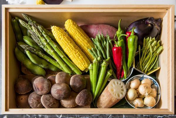 豊洲市場マグロ初競り、 ONODERA GROUP が一番マグロを最高値で落札！