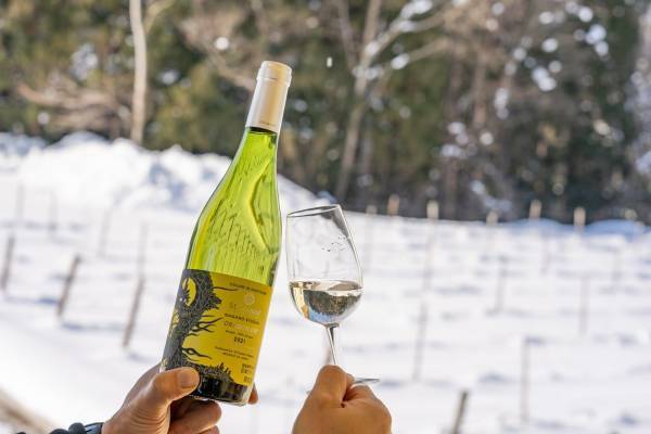 ＼ファンの皆様、お待たせいたしました！／優しい花のような香りが春にぴったりな白ワイン「長野竜眼 2021」発売！【サンクゼール・久世福商店】