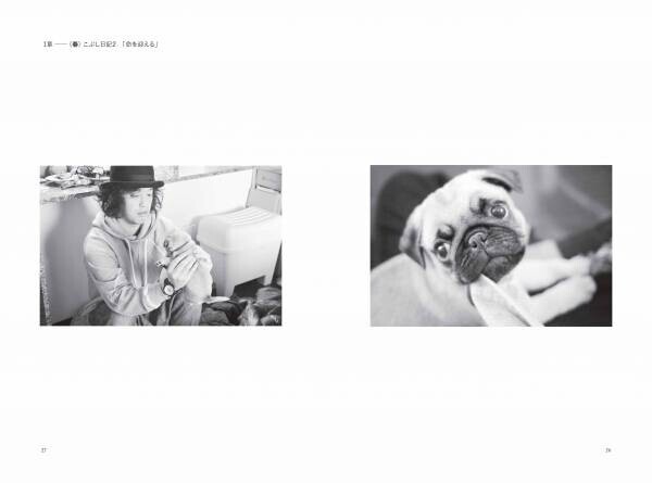 やついいちろう初の愛犬エッセイ、『うちの犬がおじいちゃんになっちゃった 愛犬こぶし日記』6月13日発売