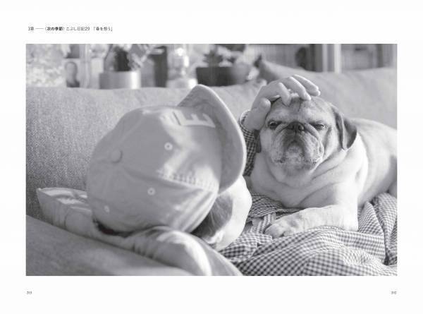 やついいちろう初の愛犬エッセイ、『うちの犬がおじいちゃんになっちゃった 愛犬こぶし日記』6月13日発売