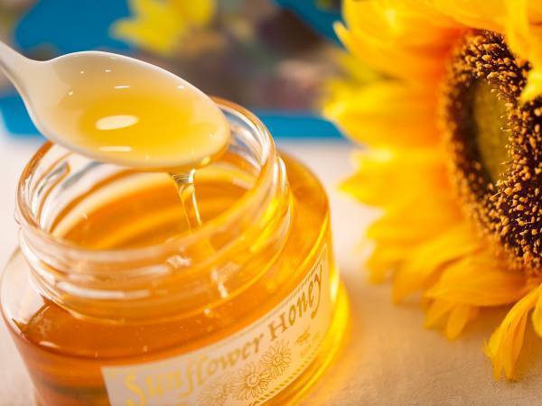 「ウクライナ産ひまわりはちみつ」がアートパッケージで登場。ウクライナ養蜂の復興を願い、現代美術アーティスト荻野夕奈の描くひまわり畑をデザイン【クインビーガーデン】