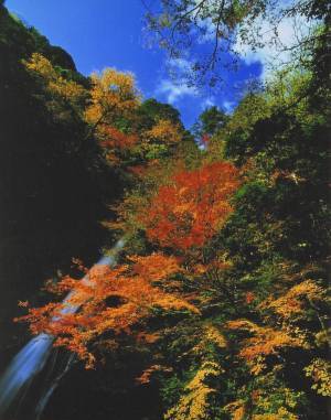 原不動滝・小滝公園もみじ祭り開催決定