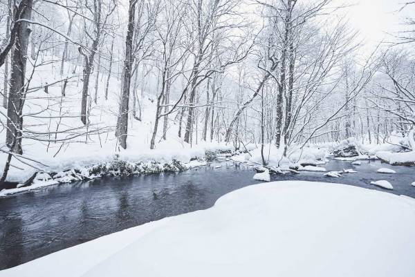 【奥入瀬渓流ホテル】銀世界が広がる渓流でせせらぎとホットシードルを味わう「渓流雪見シードルバー」新登場｜期間：2023年2月1日〜3月25日