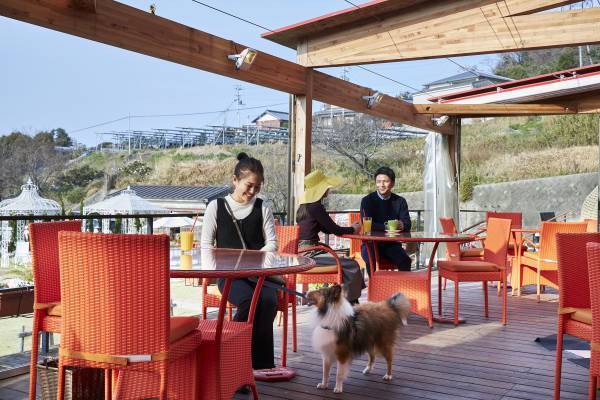 淡路島の複合施設「のじまスコーラ」 天然芝の『ドッグラン』1月20日オープン ～ 利用無料！お得なキャンペーンやワンちゃんアニバーサリープランも登場 ～