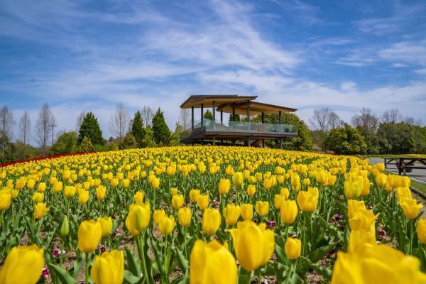 カープ床田寛樹 プロ６年目で迎えた飛躍のシーズン、投球スタイルの幅を広げた“魔球”パームに迫る！