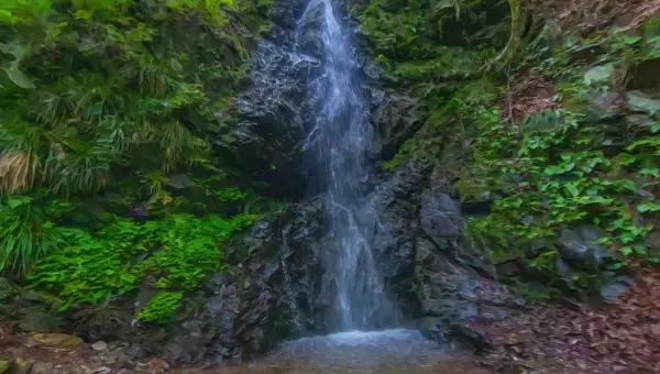 学園生活コミュニティ「キャラフレ」｜『檜原村・数馬分校記念館』校外学習イベントのお知らせ
