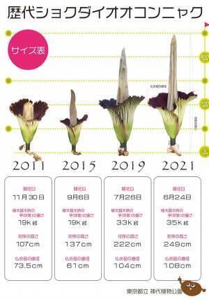 世界最大級の花「ショクダイオオコンニャク」開花間近！12月19日（月）も臨時開園いたします【神代植物公園】