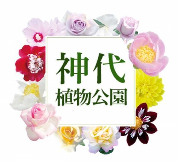 世界最大級の花「ショクダイオオコンニャク」開花間近！12月19日（月）も臨時開園いたします【神代植物公園】