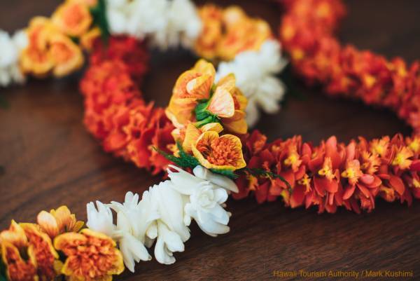 日本でも楽しめる毎年恒例のレイデーイベントを紹介