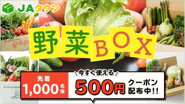 全国各地の旬の野菜をお届け！ 産地直送通販サイト「ＪＡタウン」で「野菜ボックスキャンペーン」開始！