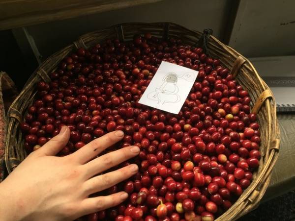 4/23(土)、24(日) 限定ポップアップカフェ！ メキシコ産コーヒーを味わうチャンス