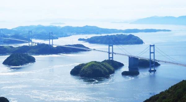 淡水魚にも塩！！？？ 金魚やメダカのストレスを軽減