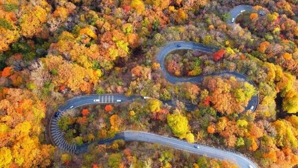 【界 日光】【界 鬼怒川】【界 川治】混雑なしのもみじ狩り「紅葉オープンバスツアー2022」運行｜期間：2022年10月14日～11月6日