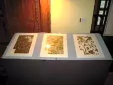 【12/17~1/15】「 旧岩崎邸で楽しむ金唐紙(きんからかみ)の世界」　都立旧岩崎邸庭園にて。