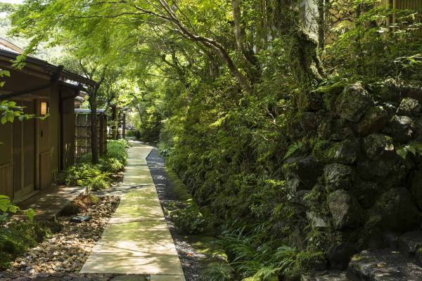 【星のや京都】嵐峡の自然の中で読書に没頭したり空中茶室で抹茶を楽しんだりなど、自分と向き合い気兼ねない時間が過ごせる「奥嵐山の贅沢ひとり旅」提供開始｜期間：2022年8月22日から通年