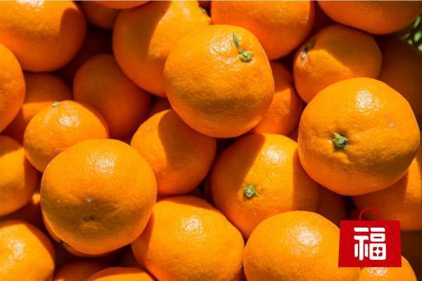 ＼冬の豪華たび福袋【５千円編】／人気No.1の牡蠣キムチや、山梨の温泉ワインうなぎ、愛媛みかんの食べ比べセットなど、コスパ最強なご当地グルメが勢ぞろい！〈12/3 朝10時発売〉【旅する久世福e商店】